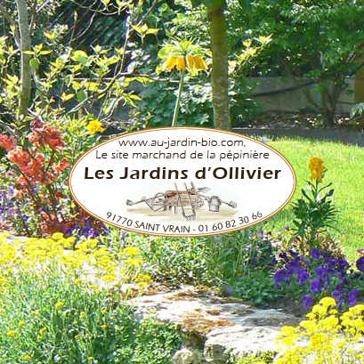 Présentation de 12 fleurs sur les 4 Saisons du Jardin Bio