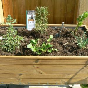 Potager de Balcon