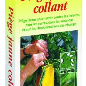 Piège Jaune Collant