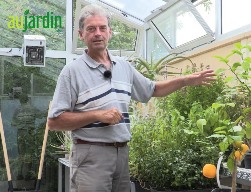 Au Jardin Bio : les plantes d'intérieur bio