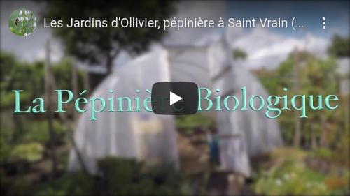 Au jardin bio (Les jardins d'Ollivier) : visite virtuelle