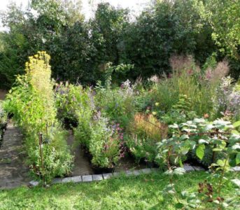 au-jardin-bio.com, pépinière en Ile de France : image de la pépinière