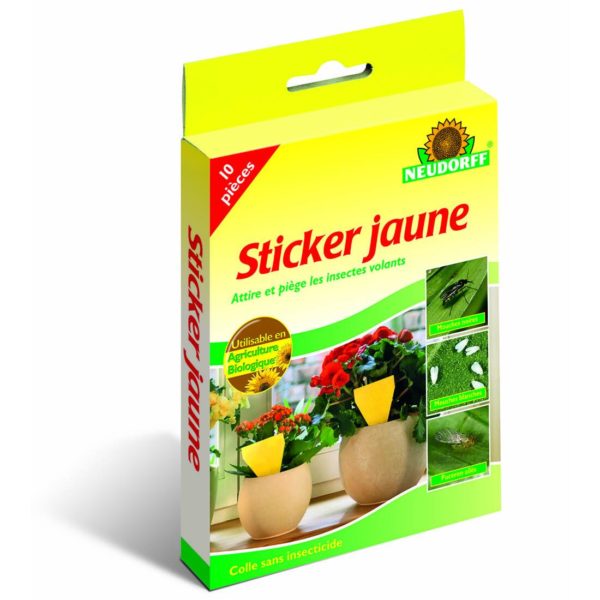 Sticker jaune