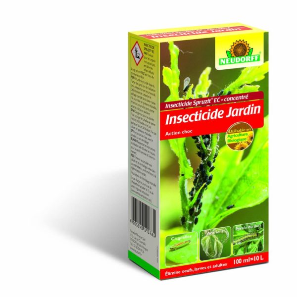 Insecticide Spruzit concentré 100 ml