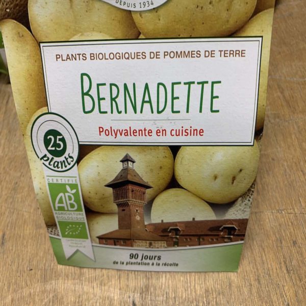 pomme de terre Bernadette bio