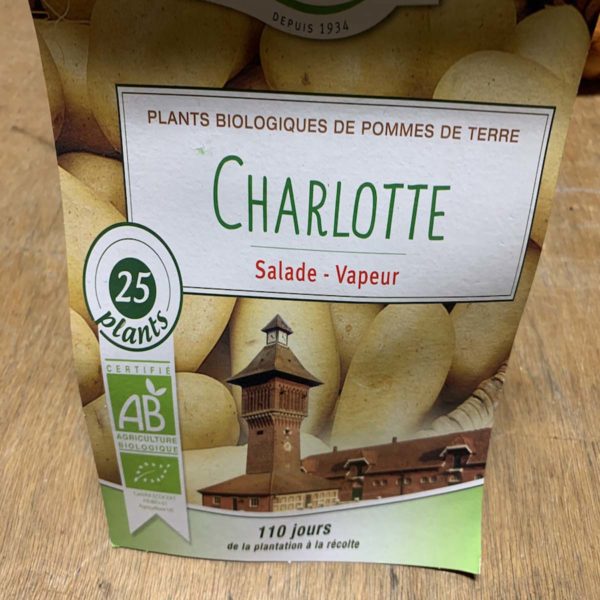 pomme de terre charlotte bio