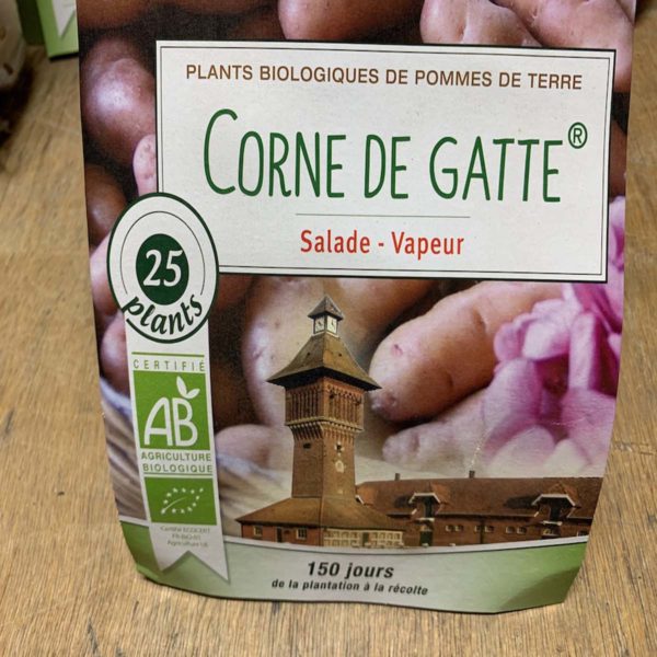 pomme de terre bio corne de gatte