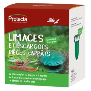 Piège à escargots et limaces