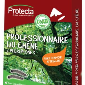 Phéromone processionnaire du chêne