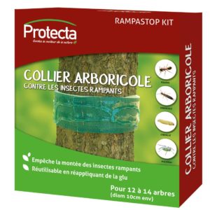 Collier arboricole