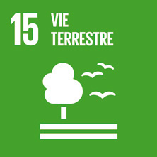 Picto vie terrestre